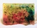 Rainbow Collection Herbal Olive Oil Soap